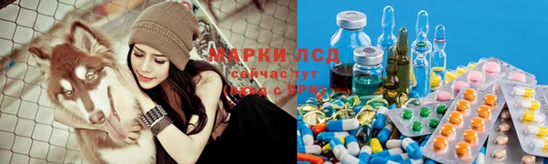 спиды Медвежьегорск
