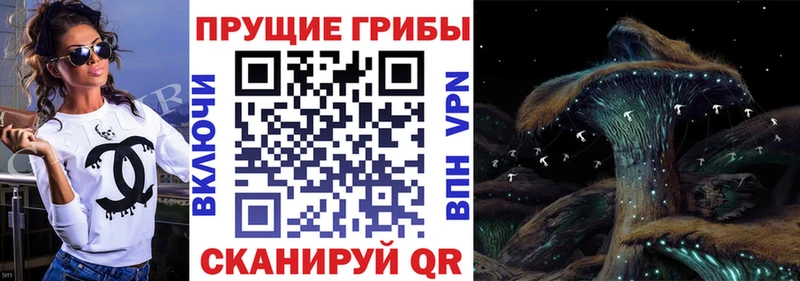 Галлюциногенные грибы ЛСД  Трёхгорный 