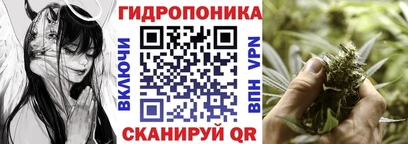 купить  сайты  даркнет формула  Шишки марихуана марихуана  Трёхгорный 